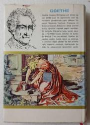 FAUST ~ [ ŞÖMİZLİ - CİLTLİ ]