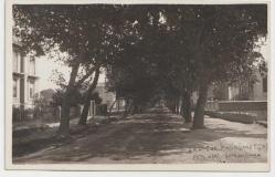 AKHİSAR HÜKÜMET CADDESİ ARKASI OSMANLICA NOTLU FOTOĞRAFÇI KAŞELİ SİYAH BEYAZ FOTOĞRAF