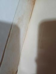 Vadideki Zambak Ciltli Şömizli