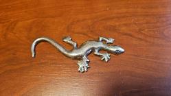 PİRİNÇ KERTENKELE      ( Küçük boy )