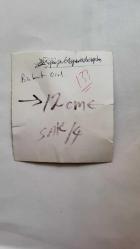 TRT İSTANBUL RADYOSU SES SANATÇISI ve KORO ŞEFİ BÜLENT ORAL'IN ORİJİNAL FOTOĞRAFI - 10 x 9 cm EBADINDA - BÜLENT ORAL, PROGRAM ÖNCESİ HAZIRLANIRKEN ÇEKİLMİŞ BİR KARE