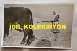 TÜRK HALK MÜZİĞİ SANATÇISI GÜLCAN OPEL'İN ORİJİNAL FOTOĞRAFI - 14 x 9 cm EBADINDA - GÜLCAN OPEL, KÖYDE AMCASININ HARMANINDA GÜVEN SÜRERKEN ÇEKİLMİŞ BİR KARE (FOTO; ŞABAN ERDEM)