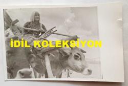 TÜRK HALK MÜZİĞİ SANATÇISI GÜLCAN OPEL'İN ORİJİNAL FOTOĞRAFI - 14 x 9 cm EBADINDA - GÜLCAN OPEL, AMCASININ KÖYÜNDEYKEN HARMANDA KAĞNI ARABASININ İÇİNDE OLDUĞU SIRADA ÇEKİLMİŞ BİR KARE (FOTO; ŞABAN ERDEM)