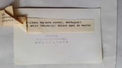 TÜRK HALK MÜZİĞİ SANATÇISI GÜLCAN OPEL'İN ORİJİNAL FOTOĞRAFI - 14 x 9 cm EBADINDA - GÜLCAN OPEL, KAYSERİ'NİN SARIOĞLAN KAZASININ YERLİKUYU KÖYÜNDE AMCASI, KARDEŞLERİ ve SAZ ARKADAŞLARIYLA BİRLİKTE TOPLUCA HATIRA POZU VERİRKEN ÇEKİLMİŞ BİR KARE (FOTO; ŞABAN ERDEM)