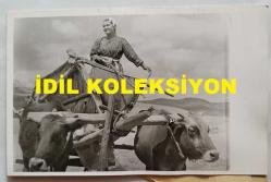 TÜRK HALK MÜZİĞİ SANATÇISI GÜLCAN OPEL'İN ORİJİNAL FOTOĞRAFI - 14 x 9 cm EBADINDA - GÜLCAN OPEL, KAYSERİ'NİN SARIOĞLAN KAZASININ YERLİKUYU KÖYÜNDE KAĞNI ARABASINDA BUĞDAY BAŞAKLARINI EZERKEN ÇEKİLMİŞ BİR KARE (FOTO; ŞABAN ERDEM)