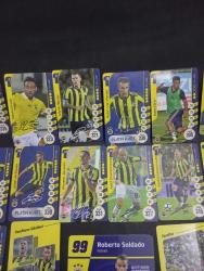 Fenerbahçe Futbolcu Kartları 2017-2018