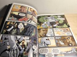 Rom Dünyanın Düşüşü