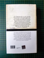 Galib Divanı   - Hasan Ali Yücel Klasikleri (Bez Ciltli - Şömizli) / 1. Baskı