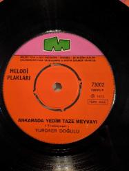 (No100) Yurdaer Doğulu / Yağmur - Ankara'da Yedim Taze Meyvayı 45'lik Plak