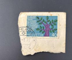 İsviçre Helvetya Pulu - Helvetia Stamp - Mektup Zarfından Kesilmiş  / Postadan Geçmiş Pul Filateli - 1972 Damgalı -  5 dal (kıta) ve 22 yapraklı (kanton) bir ağacı gösteren pul , 40 PARA - YABANCI PULLAR - NOSTALJİK DOĞUM GÜNÜ HEDİYESİ