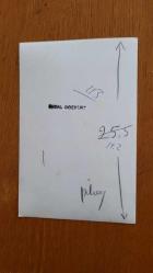 YEŞİLÇAM'IN YILDIZI HÜLYA KOÇYİĞİT'İN ORİJİNAL FOTOĞRAFI - 18 x 12 cm EBADINDA - HÜLYA KOÇYİĞİT ve SELİM SOYDAN, BAHÇEDE GÜLÜMSEYEEK POZ VERİRLERKEN ÇEKİLMİŞ MUTLU BİR KARE (FOTO; ÜNSAL BOZKURT)