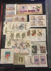 FRAGMANDA DAMGALI TC PULARI - 2 KARTELA