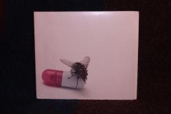 Red Hot Chili Peppers - I'm With You (CD) 2011 Avrupa