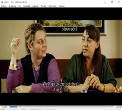 vavien  dvd   (PC'de denenmiştir) engin günaydın binnur kaya settar tanrıöğen ilker aksum serra yılmaz