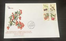 LOT.10 » 2011 MEYVELER - FDC / 772
