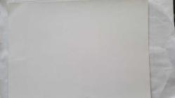 TÜRKAN ŞORAY'IN BÜYÜK BOY TIPKI BASIM FOTOĞRAFI - 23 x 17 cm EBADINDA - MUZAFFER TEMA İLE, BİR FİLMDEN