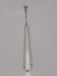 GÜMÜŞ TESBİH, KAPSÜL KESİM, GELECEKSEL PÜSKÜLLÜ