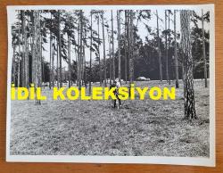 YEŞİLÇAM'IN YILDIZI HÜLYA KOÇYİĞİT'İN ORİJİNAL BÜYÜK BOY FOTOĞRAFI - 24 x 18 cm EBADINDA - HÜLYA KOÇYİĞİT ve EŞİ SELİM SOYDAN, FRANSA PARİS GEZİSİNDE AĞAÇLARLA KAPLI BİR PARKTA YÜRÜRLERKEN ÇEKİLMİŞ BİR KARE