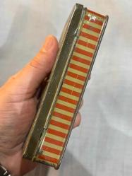 Avusturya teneke kutu