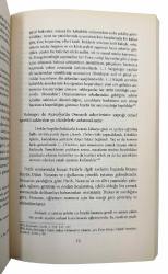 Sultanlar devrinde oğlanlar