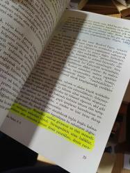 Aklın Türleri; Bir Bilinç Anlayışına Doğru