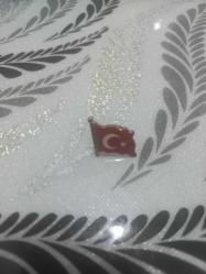 Dalgalanan Türk  Bayrağı