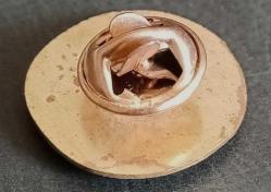 Almanya Adolf Hitler Dönemi Nazi Rozet