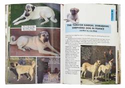 The Turkish kangal (karabash) shepherd dog: The national dog of Turkey: History, description, breeding