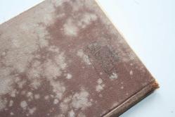 OSMANLI EVLİLİK CÜZDANI ORJİNAL OSMANLI COK NADİR (YUKARI RAF