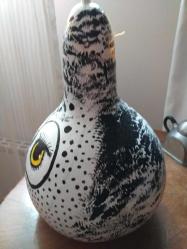 SU KABAĞI SEVİMLİ BAYKUŞ