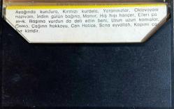 İBRAHİM TATLISES-9 SADECE KARTONET