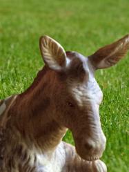 Vintage Koleksiyonluk Thomas Kinkade Damgalı Seri Numaralı Amerikan Biblolar (çift)