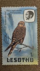 LOT.16 » 1981 YILI LESOTHO YEREL KUŞLAR İ DAMGASIZ   ŞARNİYERSİZ