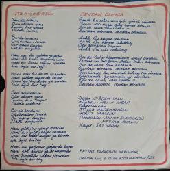 İşte öyle bir şey -Erol Evgin