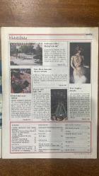 NOKTA HABER DERGİSİ - 25 AĞUSTOS 1985 SAYI: 33  ERCAN ARIKLI - AYŞENUR ARSLAN - İPEK ÇALIŞLAR - KURTHAN FİŞEK - AYCAN GİRİTLİOĞLU - DENİZ İNSEL - GÜLDAL KIZILDEMİR - ADİL ÖZKOL - HINCAL ULUÇ - ARDA USKAN - HİLMİ YAVUZ - CAN DÜNDAR - SEMRA SOMERSAN - KORHAN ATAY - ŞULE ARASAN - NESRİN ÖZEL - LEVENT TAYLA - IŞIK ALAMUR - CEM SERDENGEÇTİ - NURCAN AKAD - ŞAZİYE KARLIKLI - SUNGU ÇAPAN - SİMA AKKAN - RUŞEN ÇAKIR - HAKAN TÜRK KUŞU - MEHMET YALÇIN - İZZET DAĞISTANLI - METİN GÜLBAY - PERİN PİGEY - NEZİH TAVLAŞ - FUNDA UZUNYOL - ERCAN İŞSEVER - CENGİZ KUŞÇUOĞLU - HADİ ULUENGİN - ULYA ÜÇER - BÜLENT ÇAKIM - MERİH ÇOLAKOĞLU - ABDULLAH GÖRGÜN - MİHAIL VASILIADIS - SERDAR SAYDAM - ADEM ALTAN - MAHMUT ÖVÜR - SÜLEYMAN TEL - MEHMET TEL - DENİZ DOĞAN - OYA AÇIKALIN - PERTEV ATASOY - ALİ AYDIN - OZAN AYTEKİN - ZEKİ COŞKUN - HIDIR GÖKTAŞ - HIZIR TÜZEL - FATİH MEHMET YILMAZ - UFUK GÜLDEMİR - YALÇIN PEKŞEN - ANTONIO GRAMSCI - KENAN SOMER - ADNAN CEMGİL - EMİN ÇÖLAŞAN - ORSAN OYMEN - AHMET BOYACIOĞLU-80 SAYFA