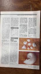 NOKTA HABER DERGİSİ - 26 AĞUSTOS 1990 SAYI: 34  BÜLENT ECEVİT - ALP BUĞDAYCI - SİBEL TAN - MEHMET GÜN - GORBAÇOV - DALAI LAMA - İSMAİL CEM - BELGİN DORUK - ZEKİ MÜREN  KİMYASAL SAVAŞ KAPIMIZDA - TÜRKİYE KİMYASAL SİLAH TEHDİDİ ALTINDA - YÖK’ÜN İFLASI - SİNEMACILAR SAVAŞI - KAYBOLAN MİLYARLAR - AL BARAKA MERYEM ANA’YA KARŞI - RUSYA’DA YIKILAN DUVARLAR - KÖRFEZ KRİZİNİN SORUMLUSU KİM - JAPON MUCİZESİNİN SIRRI - SİBEL TAN - KAZ DAĞI’NDA YÜRÜYÜŞ - ROBOTLU DÜNYA - HEY KIPIRDA BİRAZ - AHTAPOT KENDİNİ YİYECEK - BASKETBOL GENÇLER AVRUPA’DA - 82 SAYFA