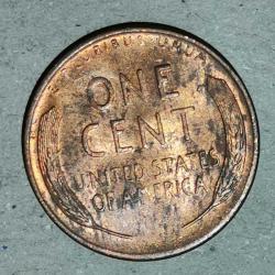 AMERİKA  1953  D    1 CENT   BUĞDAY CENTİ