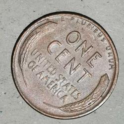 AMERİKA  1953  D    1 CENT   BUĞDAY CENTİ