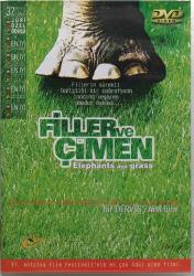 FİLLER VE ÇİMEN DVD ORJİNAL FİLM 2.EL DVD ( 10501