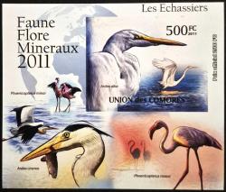 +++ UNION of COMORES KUŞLAR BLOK      2011   A - DAMGASIZ