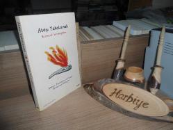 ATEŞİ YAKALAMAK - ATEŞİN, PİŞİRMENİN VE İNSAN OLMAMIZIN HİKAYESİ