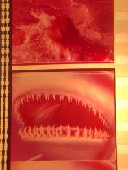 35mm Evil In The DEEP fragmanı