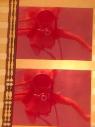 35mm Evil In The DEEP fragmanı