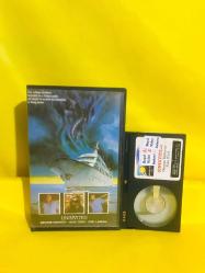 UNINVITED -BETA KORKU FİLMİ