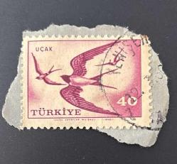 Türk Pulu - Turkish Stamp -  Mektup Zarfından Kesilmiş /Postadan Geçmiş Pul Filateli - Damgalı - KIRLANGIÇ KUŞLARI TEMALI PUL , 40 PARA - Türkiye Cumhuriyeti - NOSTALJİK DOĞUM GÜNÜ HEDİYESİ