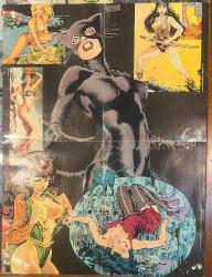 Amazing Fantasy Spiderman - Black Woman Afiş Haliyle (41 X 54cm)