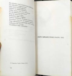 Şiirlerinden Seçmeler Blaise Cendrars - Bir Demet Özlem - Enzensberger | Şiir Kitapları Lotu