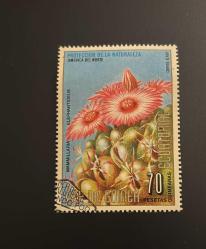 Ekvator Ginesi Pulu - Equatorial Guinea Stamp - Postadan Geçmiş Pul Filateli  - Damgalı - MAMMILLARIA ELEPHANTIDEUS - KAKTÜS BİTKİSİ TEMALI PUL , 70 PARA - YABANCI PULLAR - NOSTALJİK DOĞUM GÜNÜ HEDİYESİ