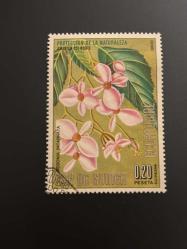 Ekvator Ginesi Pulu - Equatorial Guinea Stamp - Postadan Geçmiş Pul Filateli  - Damgalı - BEGONIA INCARNATA - BEGONYA BİTKİSİ TEMALI PUL , 0.20 PARA - YABANCI PULLAR - NOSTALJİK DOĞUM GÜNÜ HEDİYESİ