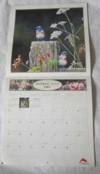 Kuşların Sesi Günü Çoşkuyla Kucakla 2001 Duvar Takvimi / Singing Birds Embrace The Day With Delight 2001 Calendar